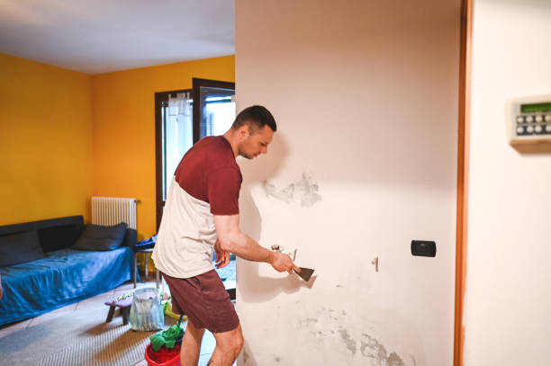 Best Emergency Mold Removal  in Tano Road, NM